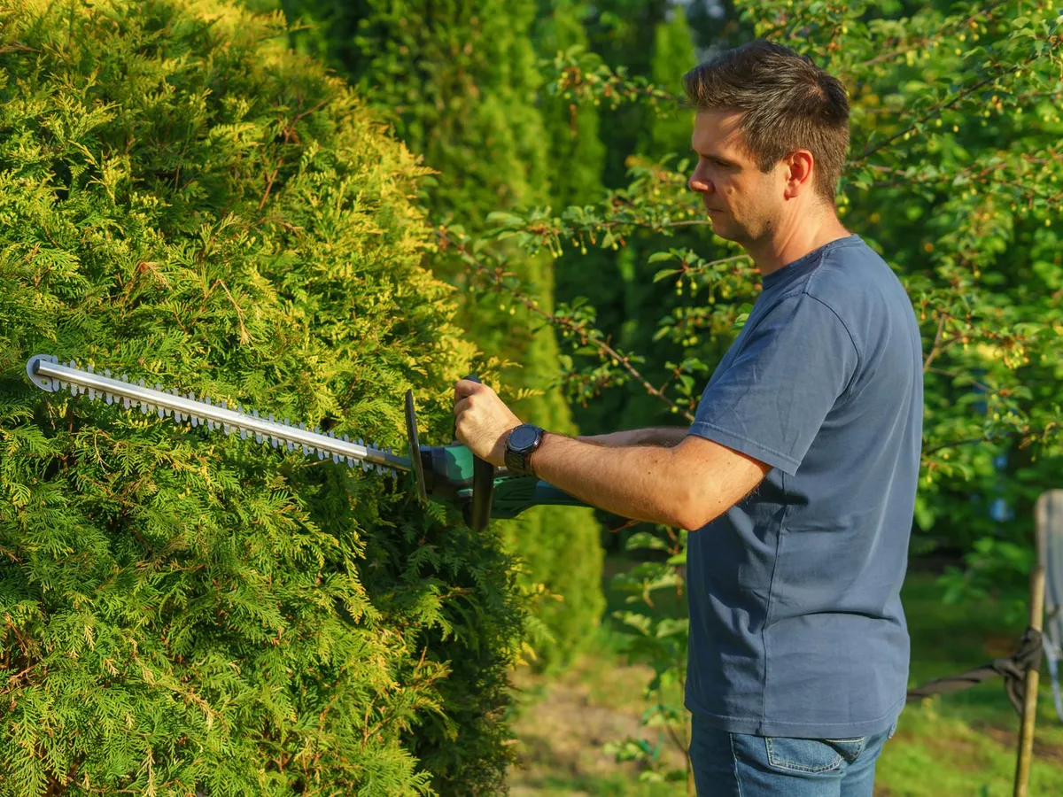 Tu pensa a fare il giardiniere, al resto pensa Giardiniamo.ai
